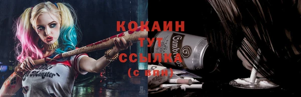 2c-b Вяземский