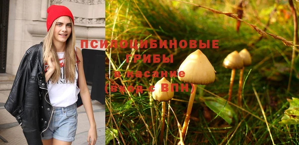 круглые Вязники