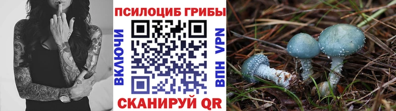 где купить наркотик  Облучье  Галлюциногенные грибы мухоморы 